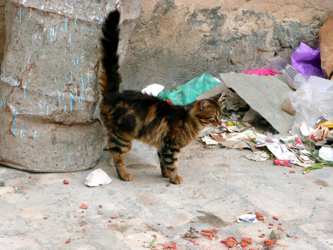 7062037741_2843d67077_k