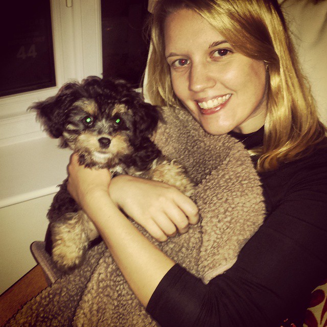 Best buds dog puppy cavapoo cavalier