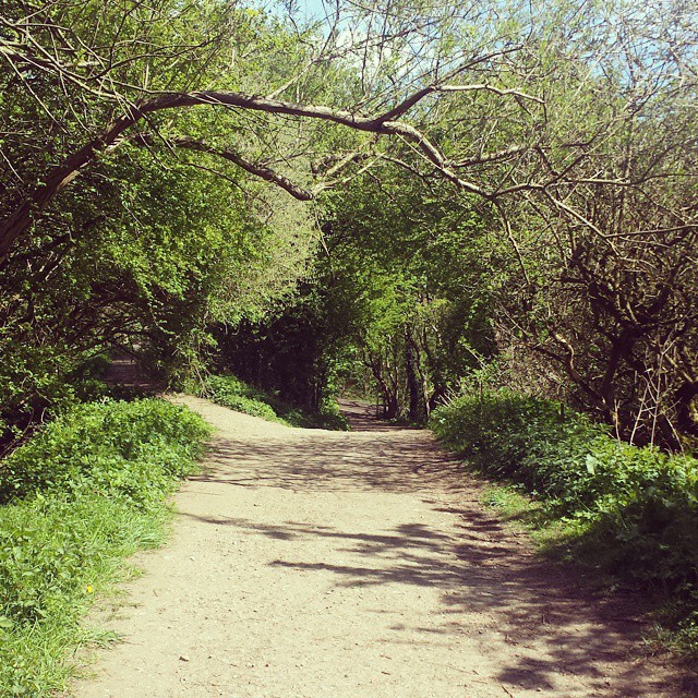 Absolutely loved today 😍 #summer #cycling