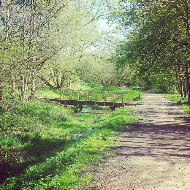 Can't beat a bit of Manchester greenery 😍#summer #cycling #manchester chester #salewaterpark #sale #trees