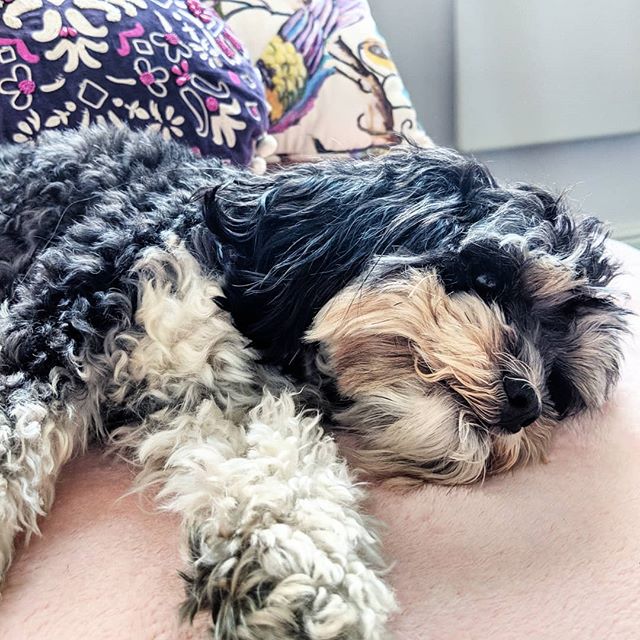 I'm definitely guilty of oversharing on social media from time to time 😏, but today I read a Nora Ephron quote that perfectly summed up why I'm only too happy to turn some of my most embarrassing moments into elaborate stories: "When you slip on a banana peel, people laugh at you. But when you tell people you slipped on a banana peel, it's your laugh"
Bloody Nora! God rest her soul because she really hit the nail on the head with that one, just as she did when she said "be the heroine of your life, not the victim"
I've always felt as though embarrassing moments are things that happen to me, whereas when I tell people about an embarrassing moment or I get something shitty off my chest, I'm kinda taking ownership of it and grabbing my power back 🙌
Besides, we all do embarrassing things, we all fuck up from time to time, and we all experience shitty situations, but the way I see it, the people I assume have their shit together and the people I assume are looking down at me for being such a colossal mess are probably just better at keeping secrets than I am 🤷‍♀️